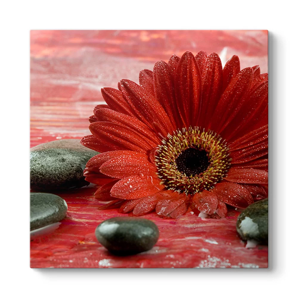Gerbera ve Siyah Taşlar Tablosu - Model 3